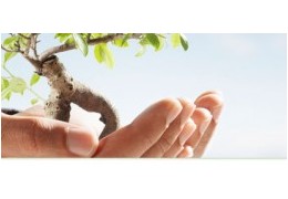 Le site de Horizons Nature neutre en carbone!